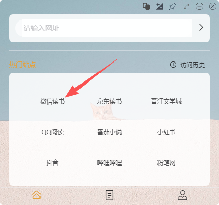 这个摸鱼软件绝了，任意小说网站都可以背景透明！摸鱼看小说，以微信读书为例