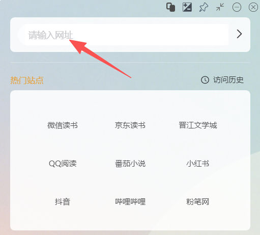 输入网址截图演示